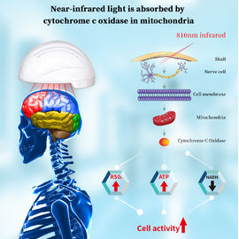 Máy vật lý trị liệu sức khỏe Mũ bảo hiểm 810nm Liệu pháp ánh sáng đỏ hồng ngoại NIR