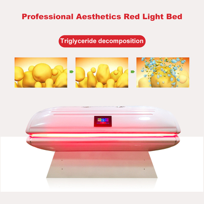 Giường Collagen ánh sáng đỏ PDT quang động để điêu khắc cơ thể